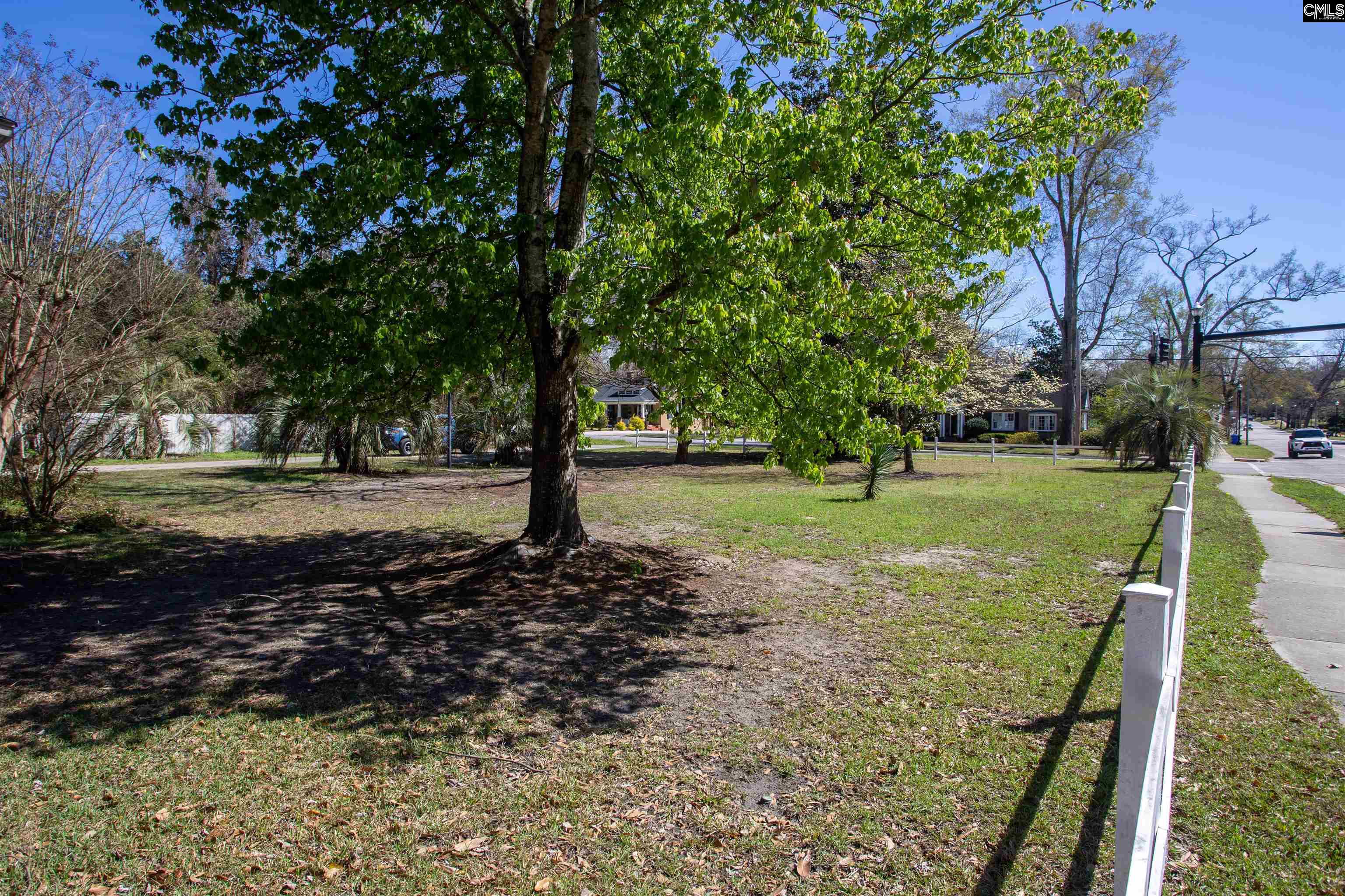 1700 Broad Street Camden, SC 29020 - Photo 2 of 41 a view of a yard with tree s