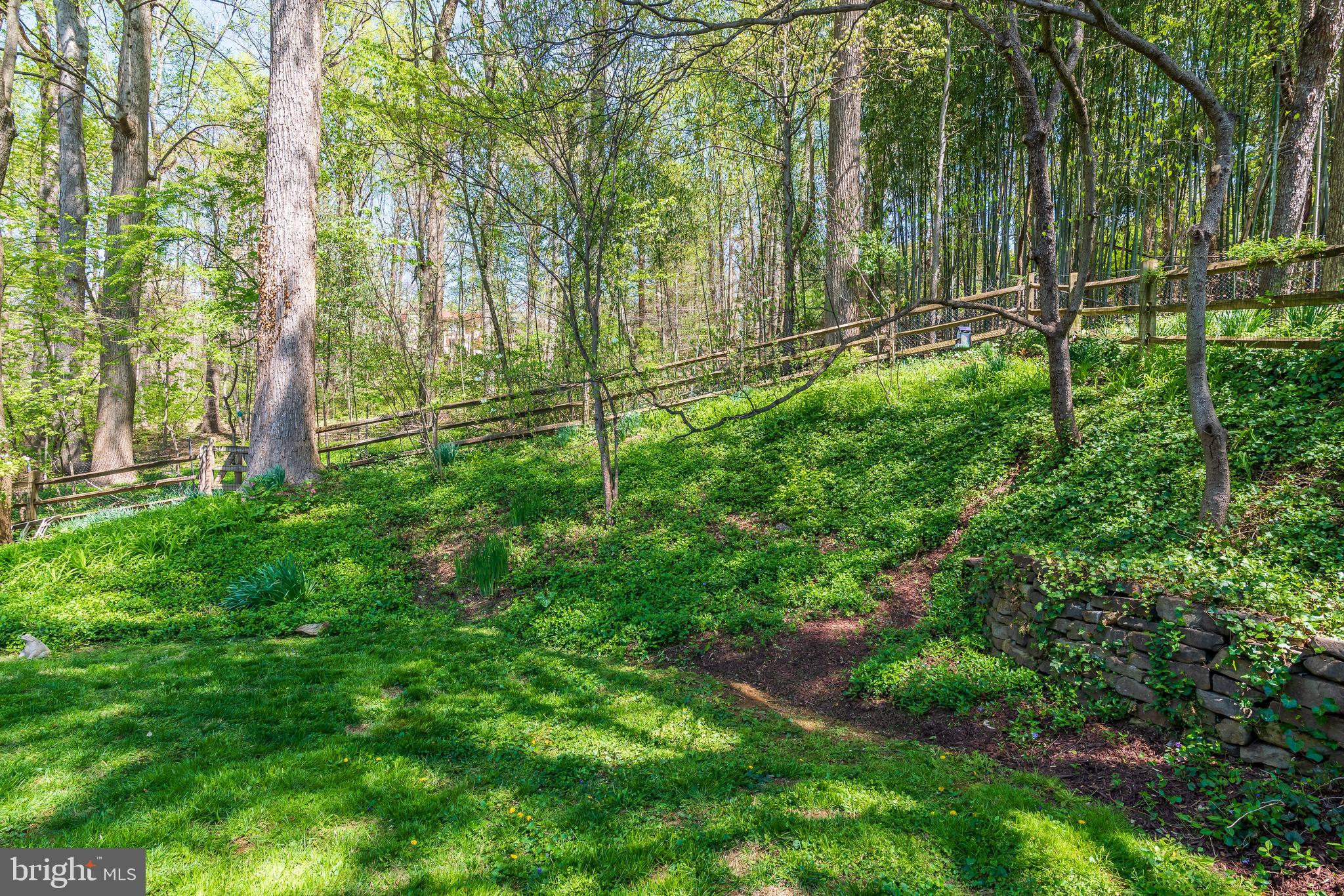 6522 East Halbert Road Bethesda, MD 20817 - Photo 28 of 63 Beautiful yard backing to woods