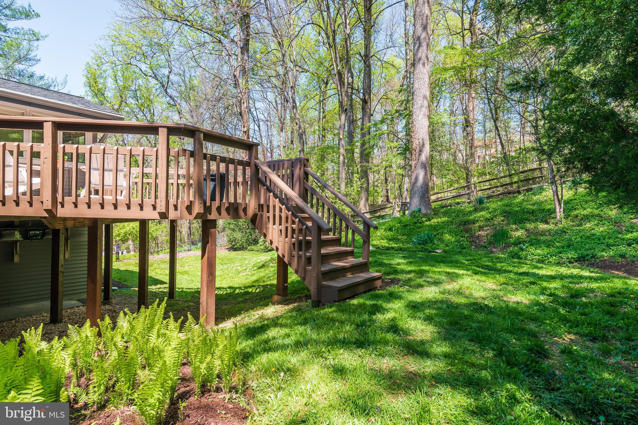 6522 East Halbert Road Bethesda, MD 20817 - Photo 46 of 63 Rear yard