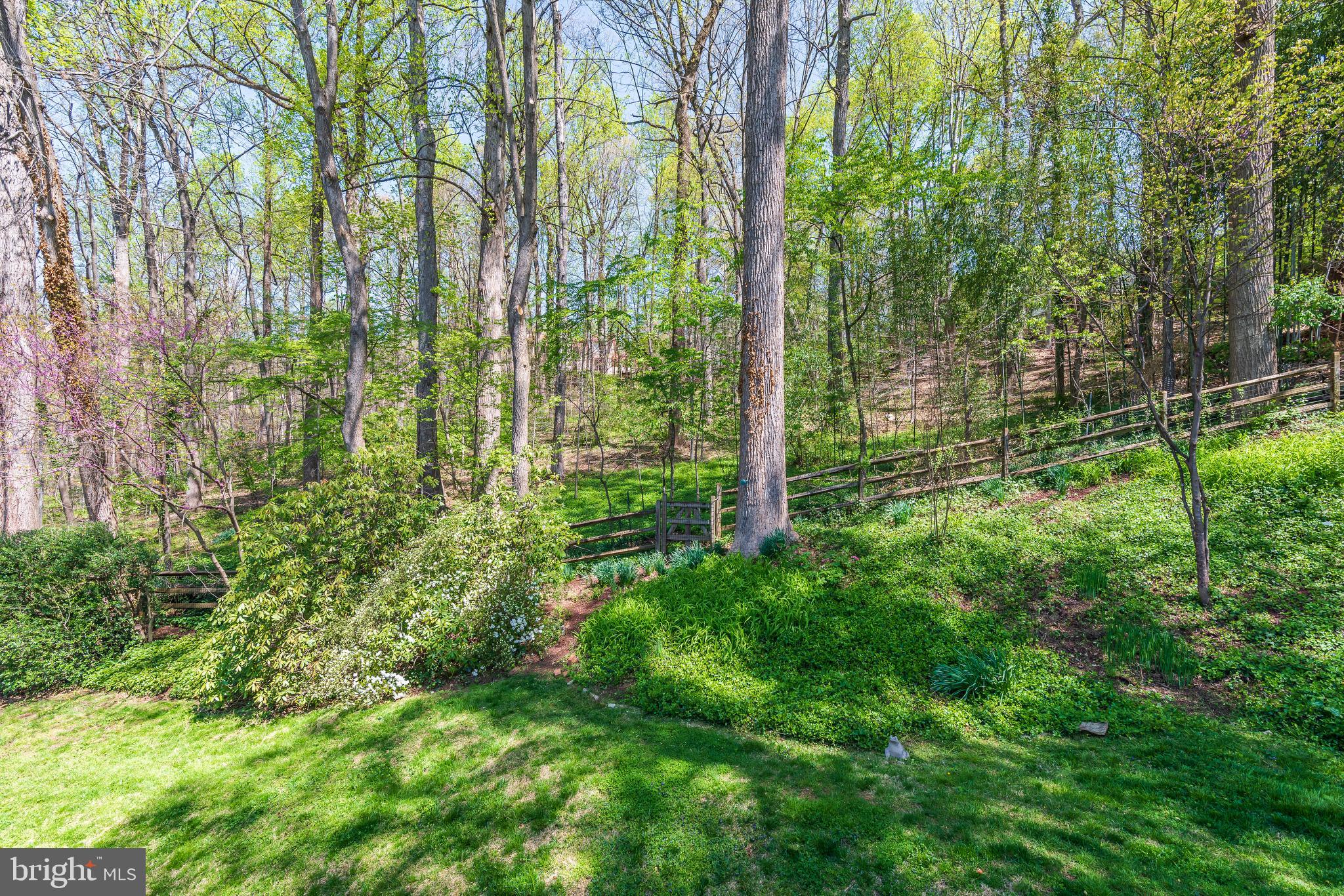 6522 East Halbert Road Bethesda, MD 20817 - Photo 48 of 63 Rear Yard