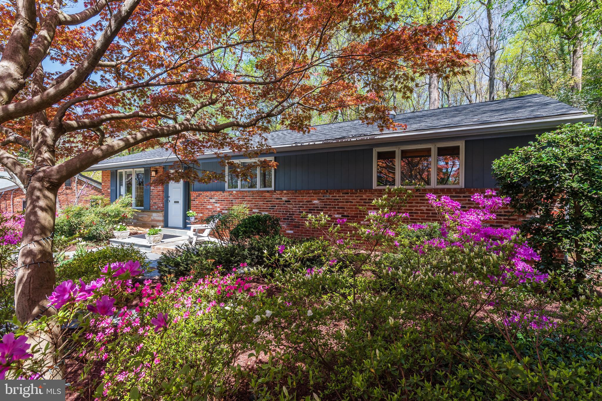 6522 East Halbert Road Bethesda, MD 20817 - Photo 53 of 63 Beautifully landscaped with seasonal colors