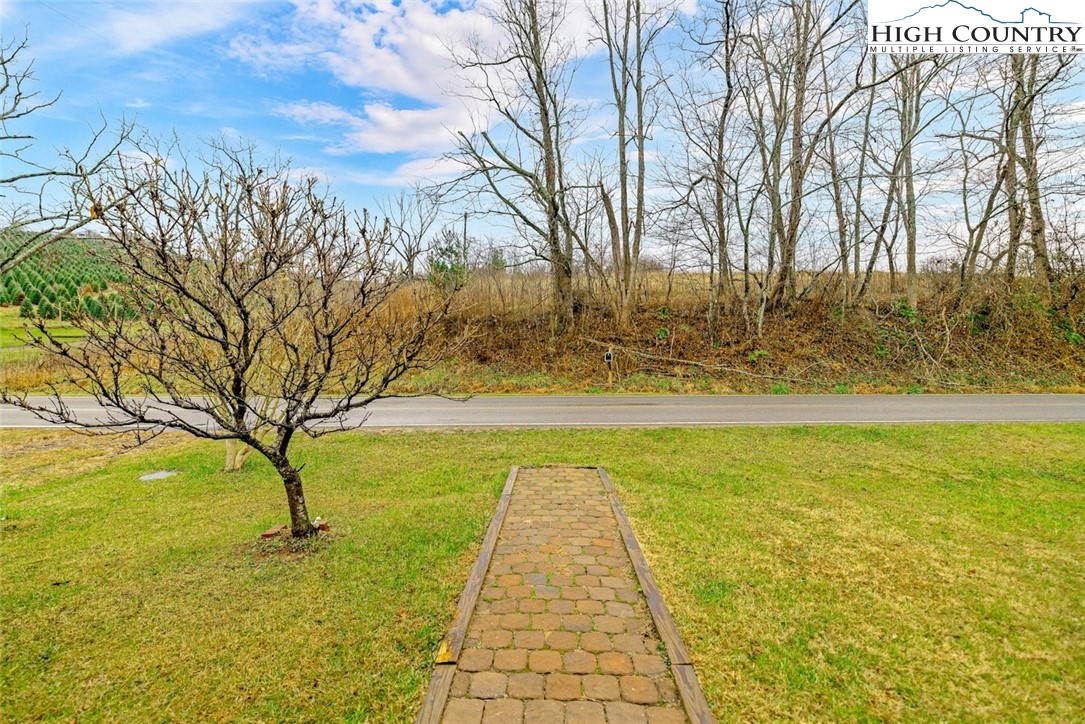 273 Walnut Branch Church Road Sparta, NC 28675 - Photo 35 of 41 a view of a yard with an trees
