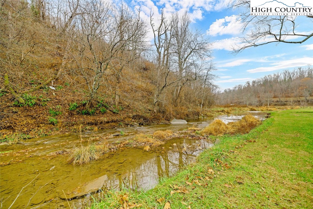 273 Walnut Branch Church Road Sparta, NC 28675 - Photo 37 of 41 a view of yard with large trees