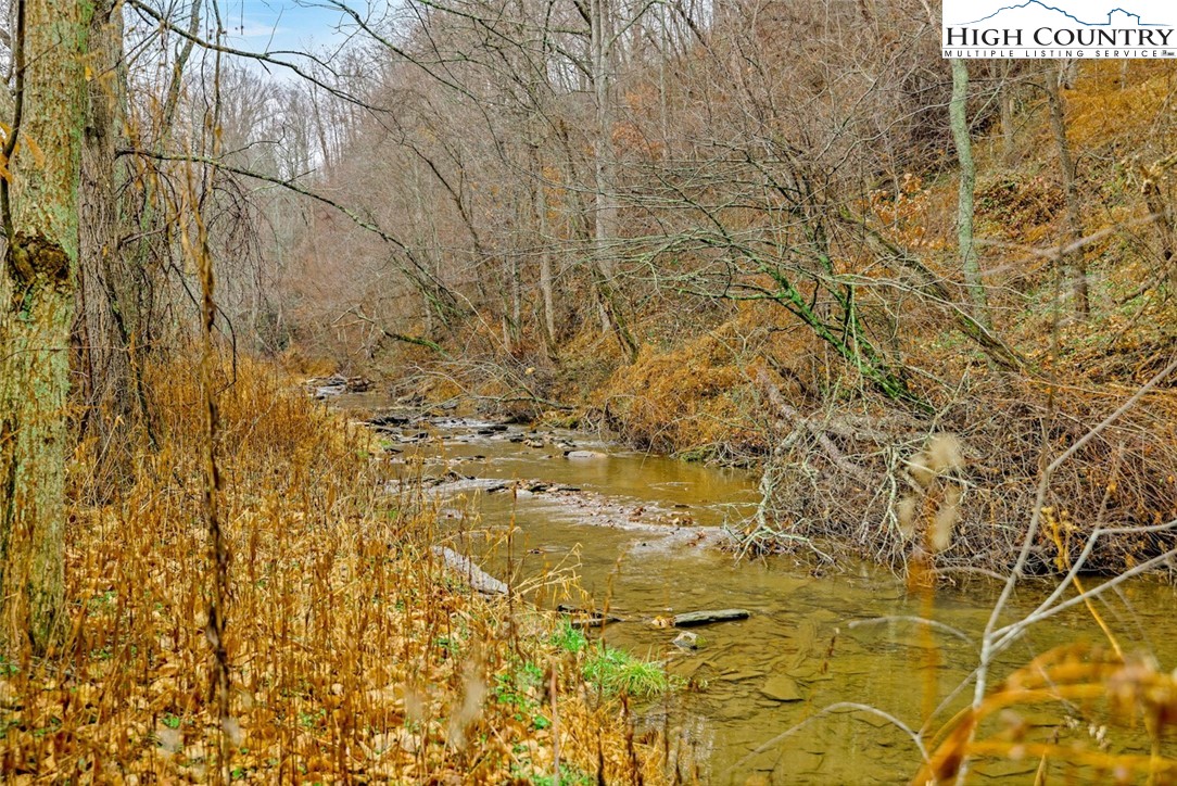 273 Walnut Branch Church Road Sparta, NC 28675 - Photo 41 of 41 a bathroom with a shower