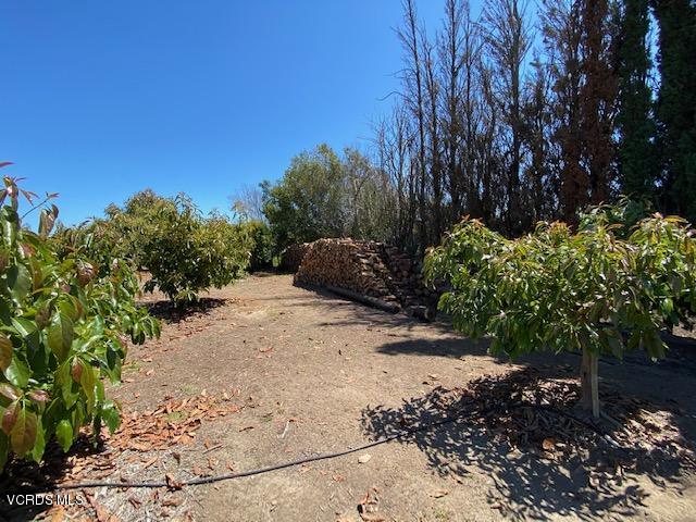 3774 Groves Place Somis, CA 93066 - Photo 33 of 51 updated side2