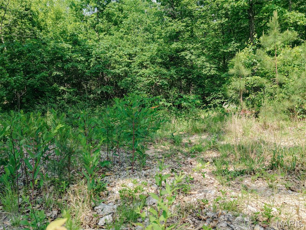 10 State Route Sullivan, MO 63080 - Photo 11 of 32