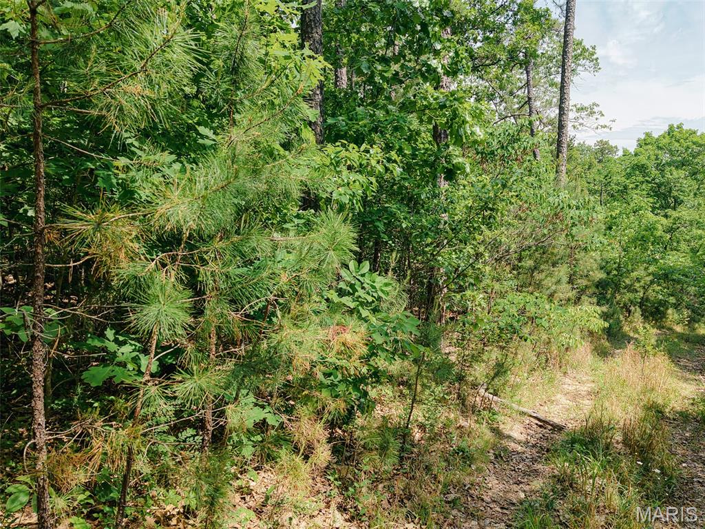 10 State Route Sullivan, MO 63080 - Photo 18 of 32