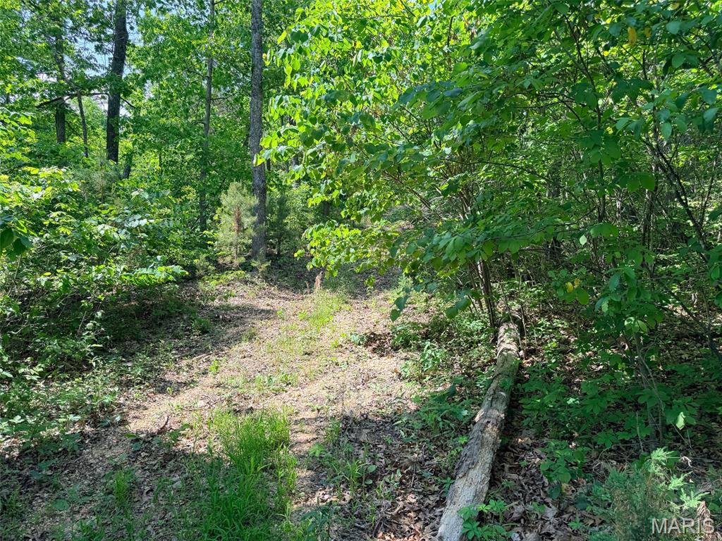 10 State Route Sullivan, MO 63080 - Photo 22 of 32