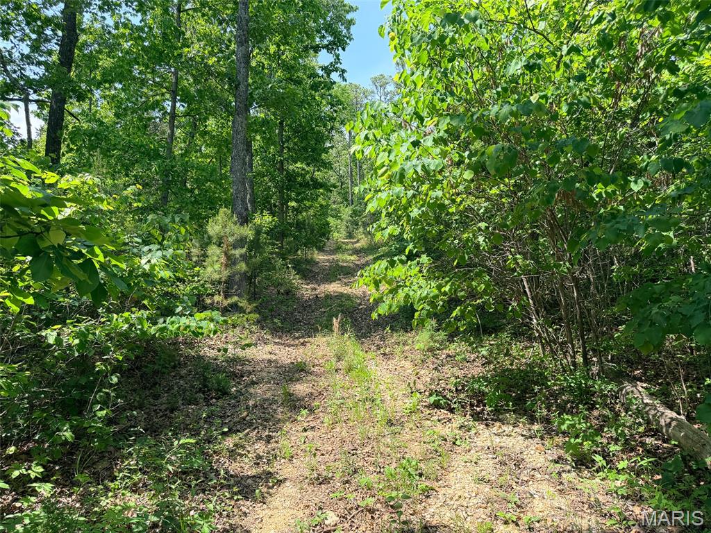 10 State Route Sullivan, MO 63080 - Photo 23 of 32