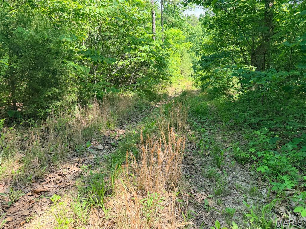 10 State Route Sullivan, MO 63080 - Photo 24 of 32