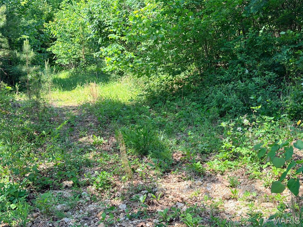 10 State Route Sullivan, MO 63080 - Photo 28 of 32