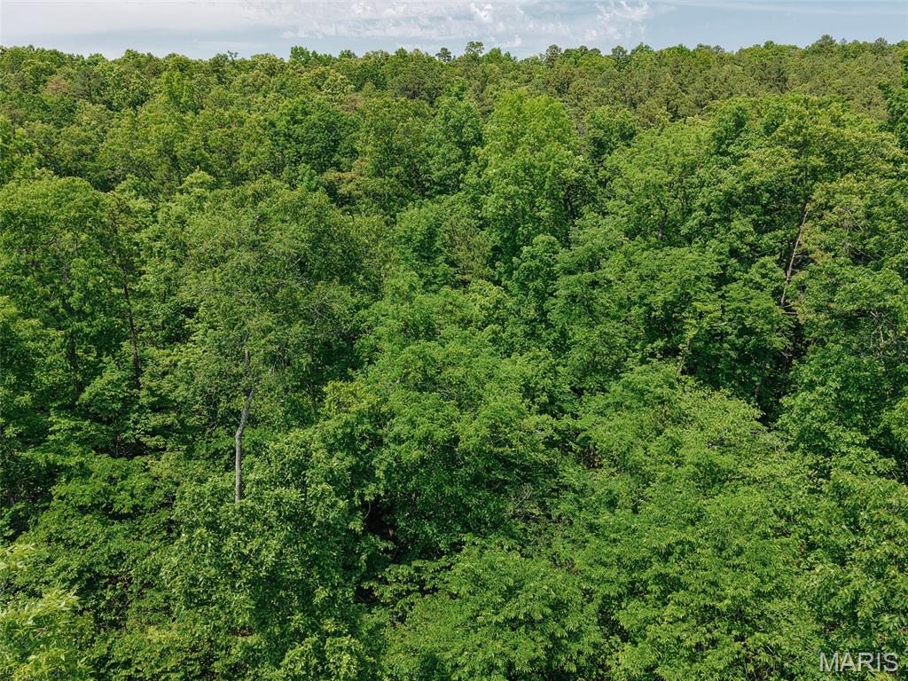 10 State Route Sullivan, MO 63080 - Photo 6 of 32