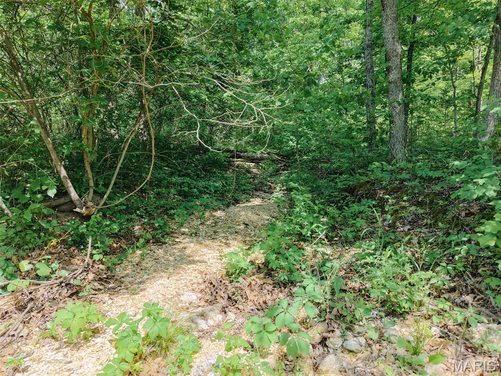 10 State Route Sullivan, MO 63080 - Photo 10 of 32