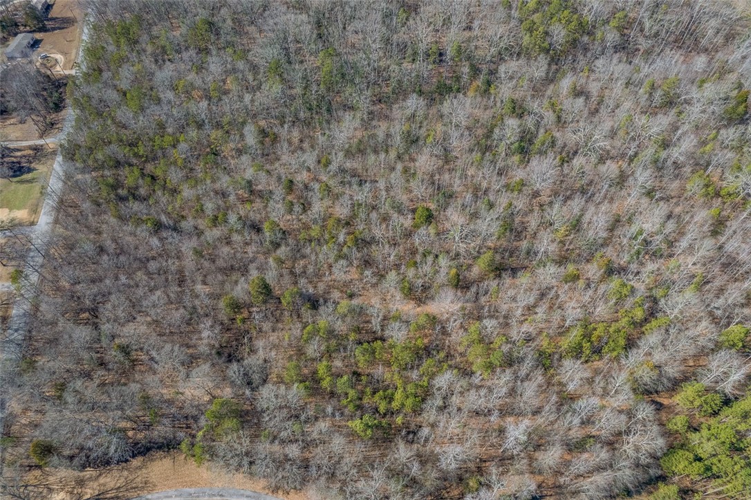 0 Woodside Road Simpsonville, SC 29680 - Photo 5 of 8