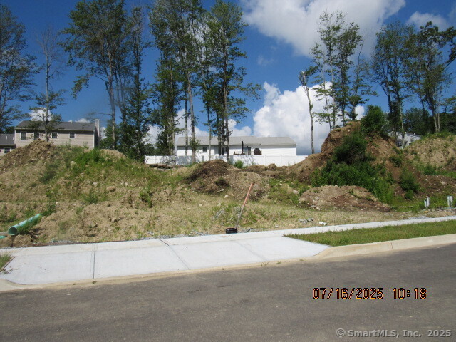 a view of a yard with an tree