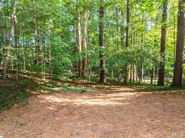 1212 Stone Creek Way Raleigh, NC 27615 - Photo 24 of 25 Ideal natural backyard for low maintenance.