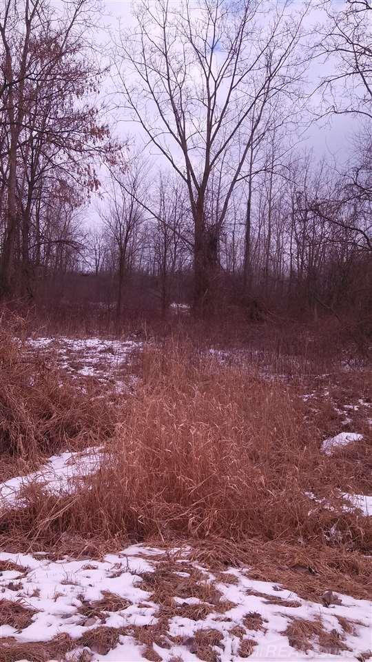 32130 Armada Ridge Road Richmond, MI 48062 - Photo 2 of 4