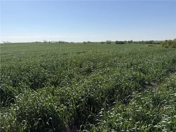 $300,000 | Tbd #2 Tbd Highway, King City, MO 64463