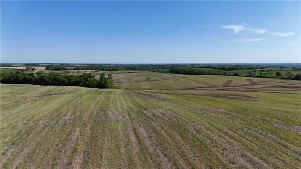 $300,000 | Tbd #2 Tbd Highway, King City, MO 64463