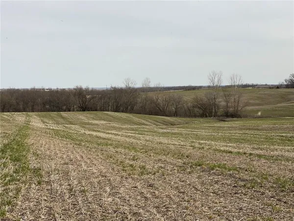 $300,000 | Tbd #2 Tbd Highway, King City, MO 64463