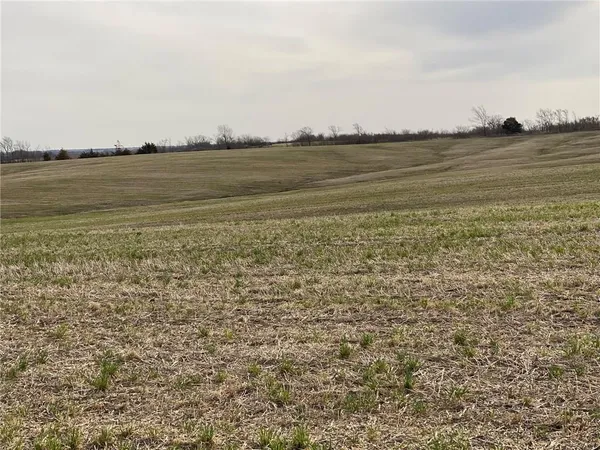 $300,000 | Tbd #2 Tbd Highway, King City, MO 64463