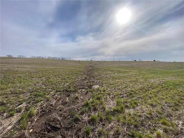 $300,000 | Tbd #2 Tbd Highway, King City, MO 64463