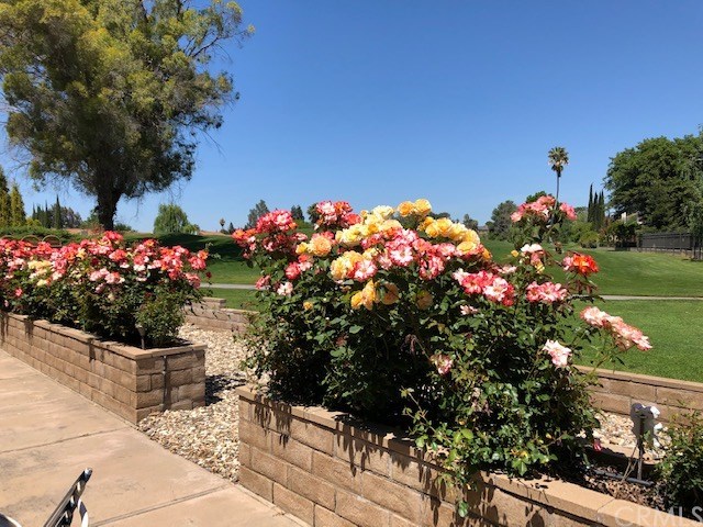 1768 Rambouillet Road Paso Robles, CA 93446 - Photo 2 of 23 Beautiful roses with golf course beyond.