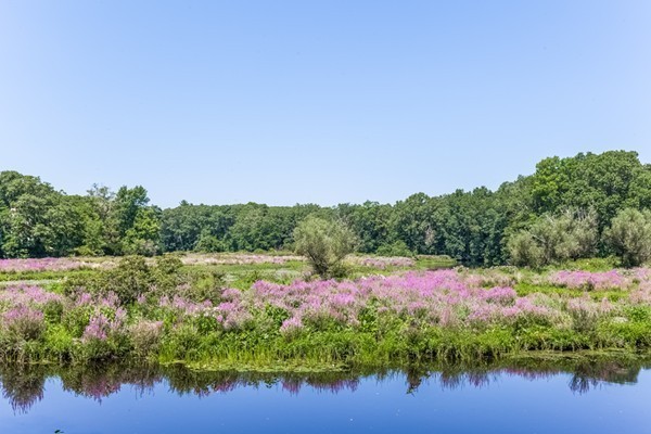 159 Claybrook Road Dover, MA 02030 - Photo 26 of 30 Gallery Image 26