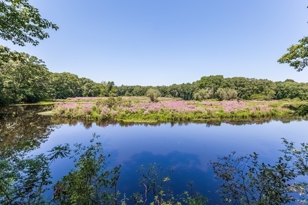 159 Claybrook Road Dover, MA 02030 - Photo 29 of 30 Gallery Image 29