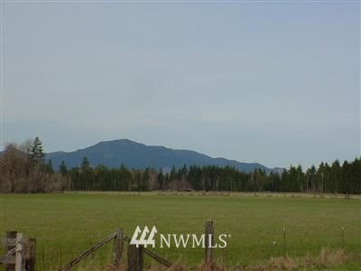 2503 West Deckerville Road Matlock, WA 98560 - Photo 1 of 1 Gallery Image 1