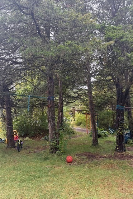 664 Bay Road Belchertown, MA 01007 - Photo 12 of 18