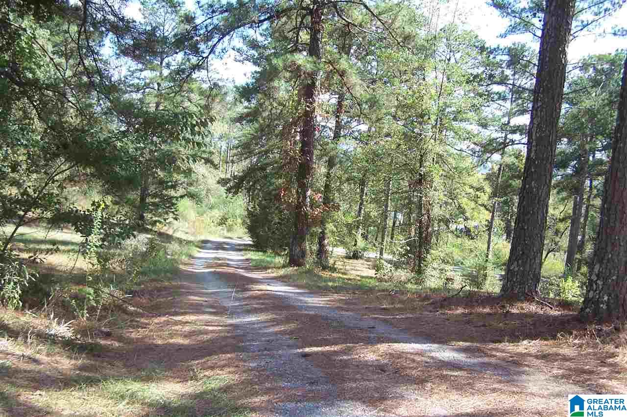 4907 County Road 45 Hayden, AL 35079 - Photo 6 of 28