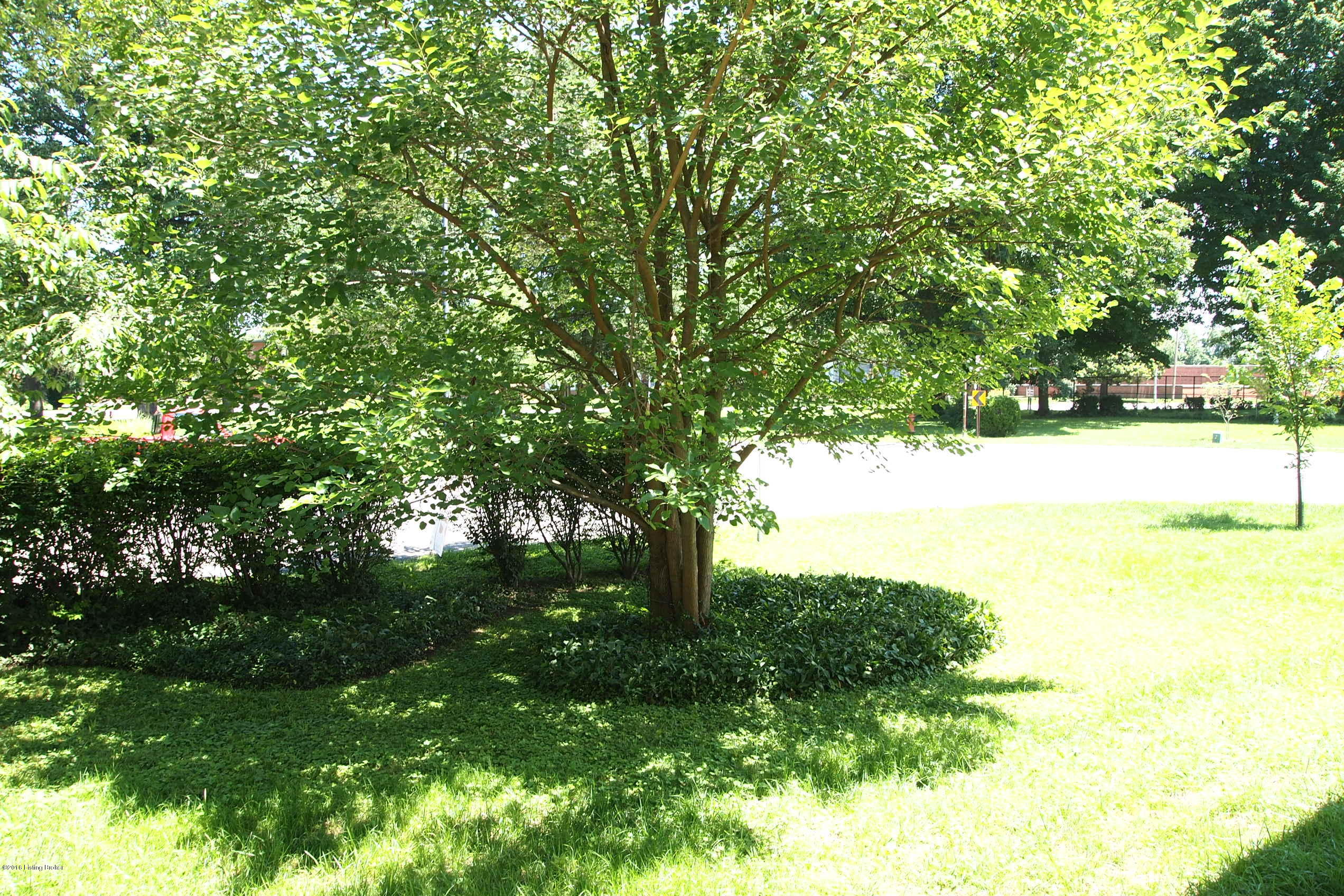 3101 Dundee Road Louisville, KY 40205 - Photo 38 of 49 View from kitchen side yard