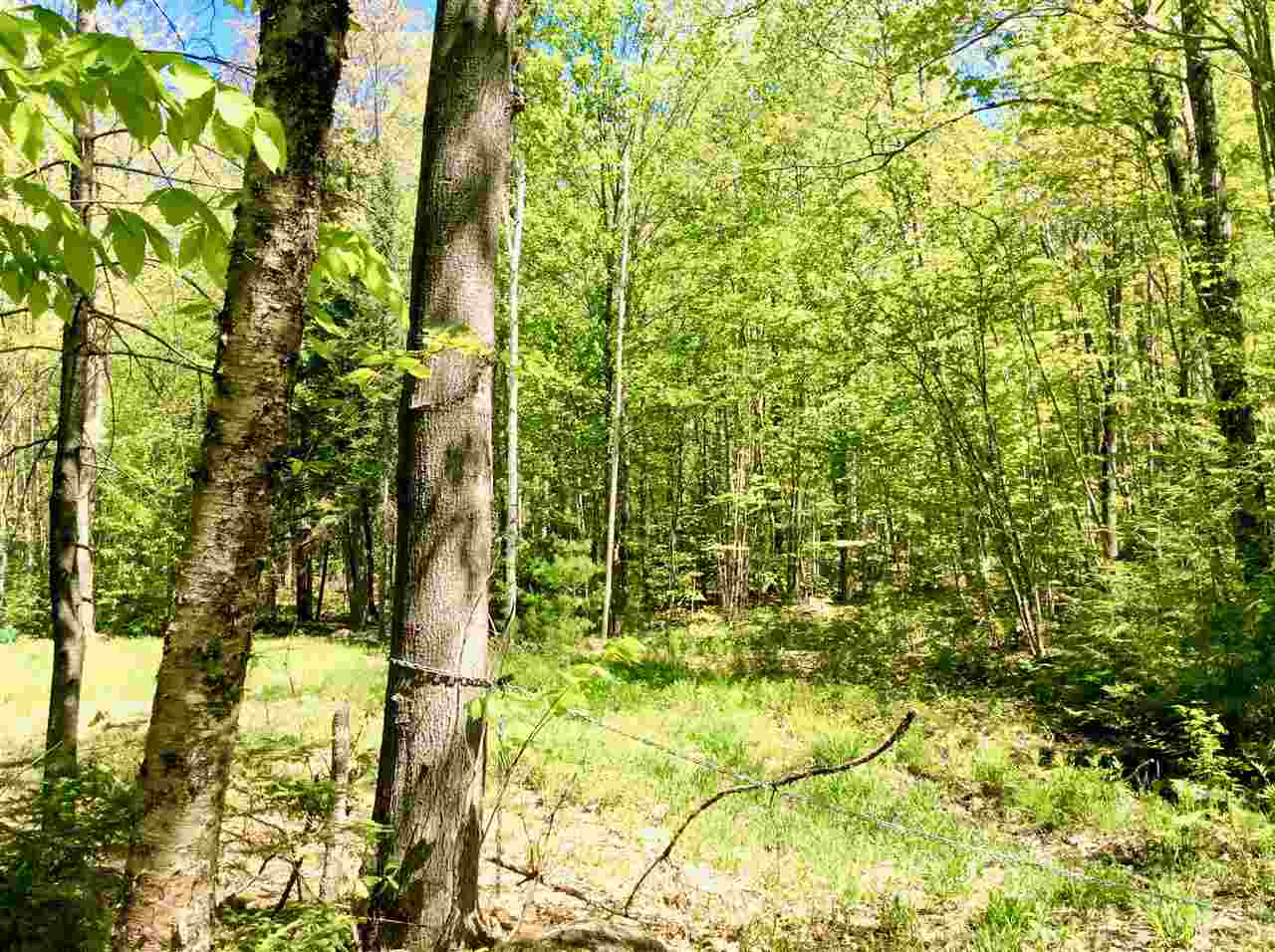 Harnden Hill Road, Unit 27 Stow, ME 04037 - Photo 1 of 20
