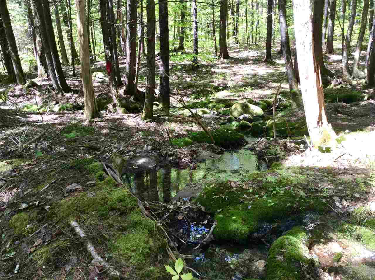 Harnden Hill Road, Unit 27 Stow, ME 04037 - Photo 4 of 20