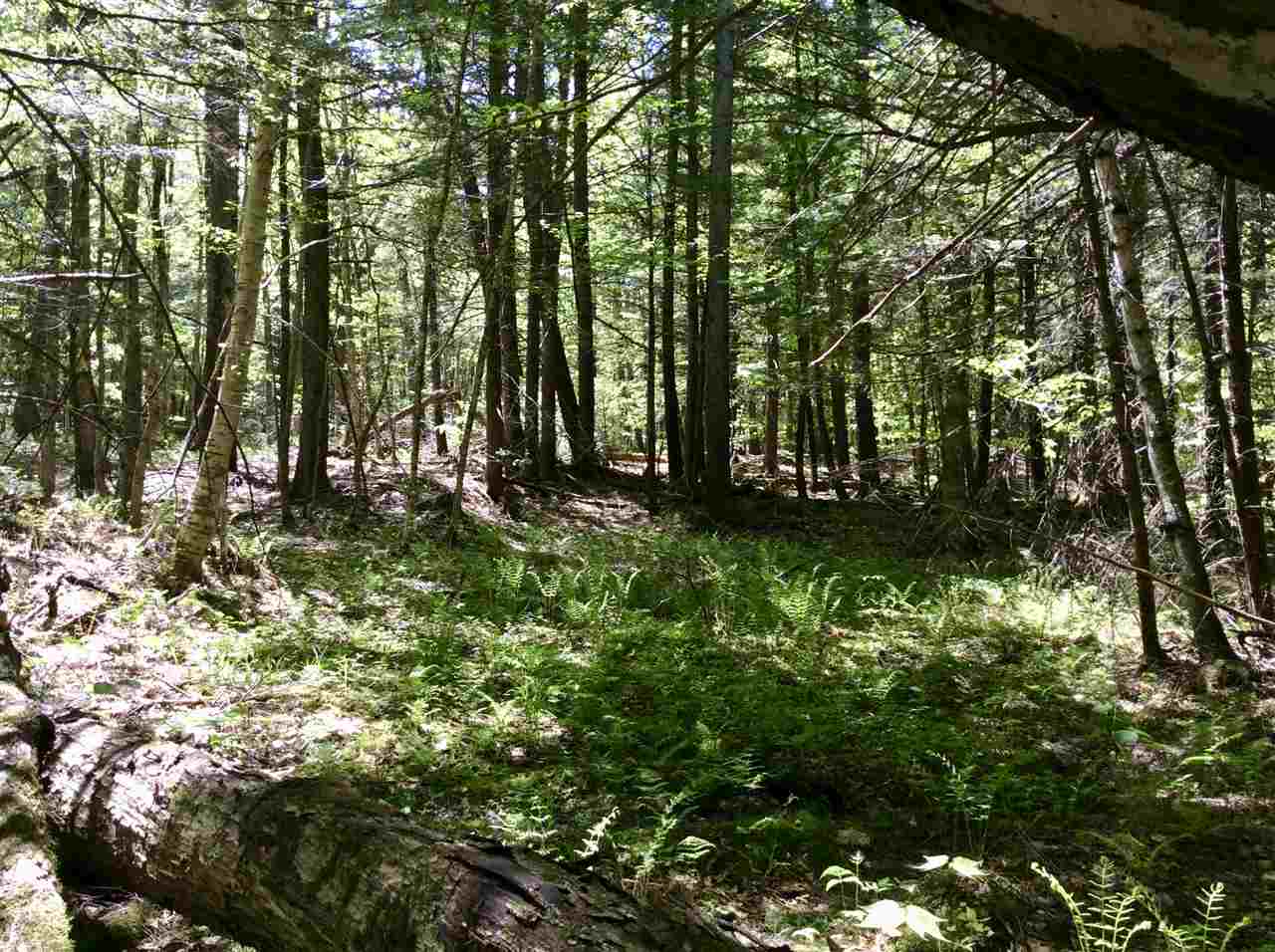 Harnden Hill Road, Unit 27 Stow, ME 04037 - Photo 8 of 20