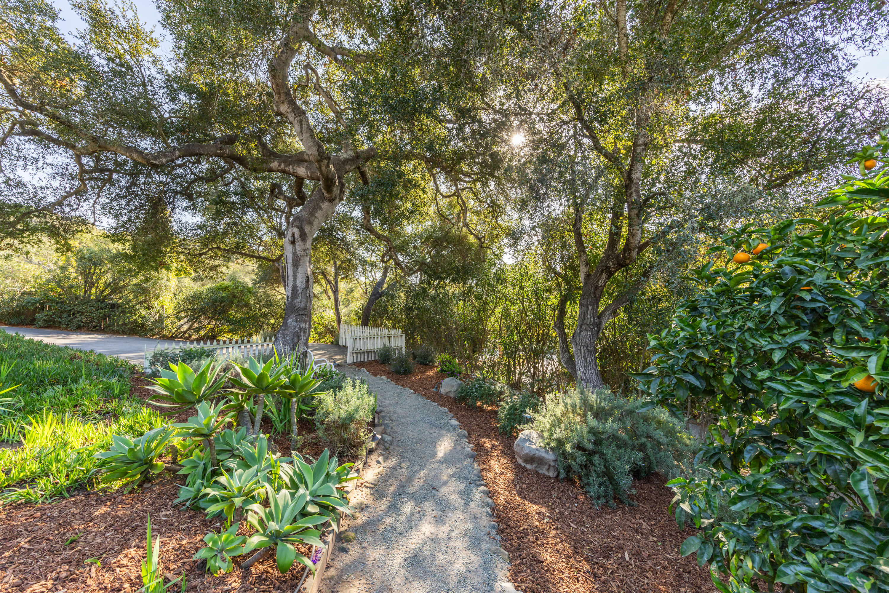 926 Canon Road Santa Barbara, CA 93110 - Photo 29 of 31 Landscaping