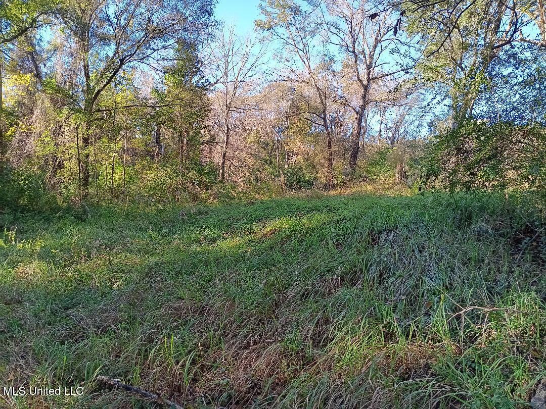 15208 Old River Road Vancleave, MS 39565 - Photo 12 of 17 12