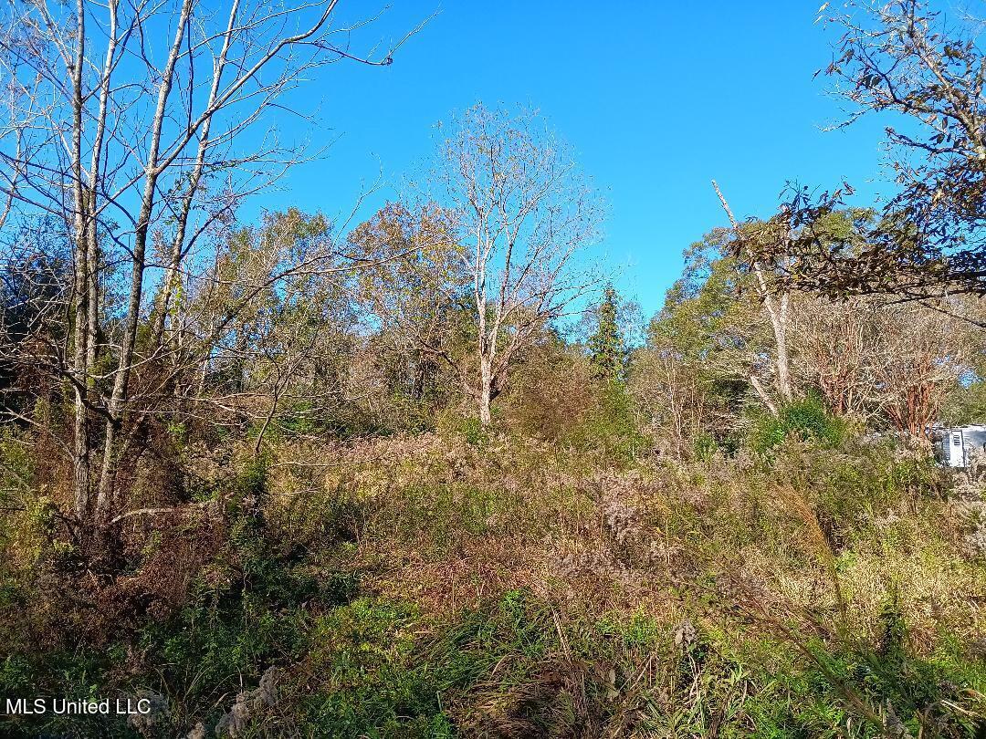 15208 Old River Road Vancleave, MS 39565 - Photo 13 of 17 13