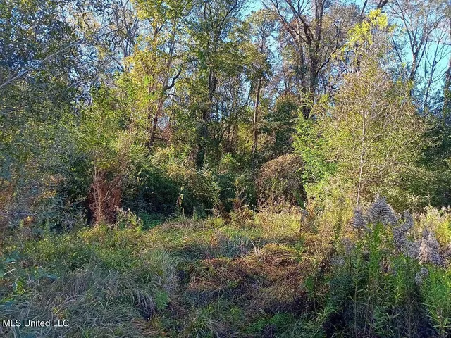 $57,500 | 15208 Old River Road, Vancleave, MS 39565