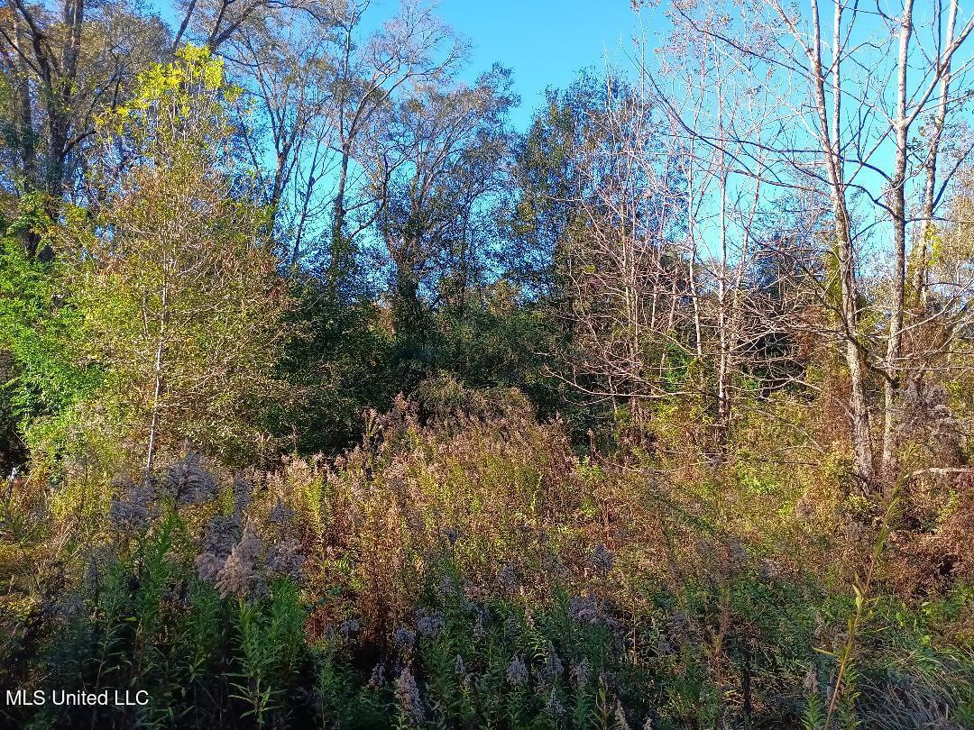 15208 Old River Road Vancleave, MS 39565 - Photo 15 of 17 15