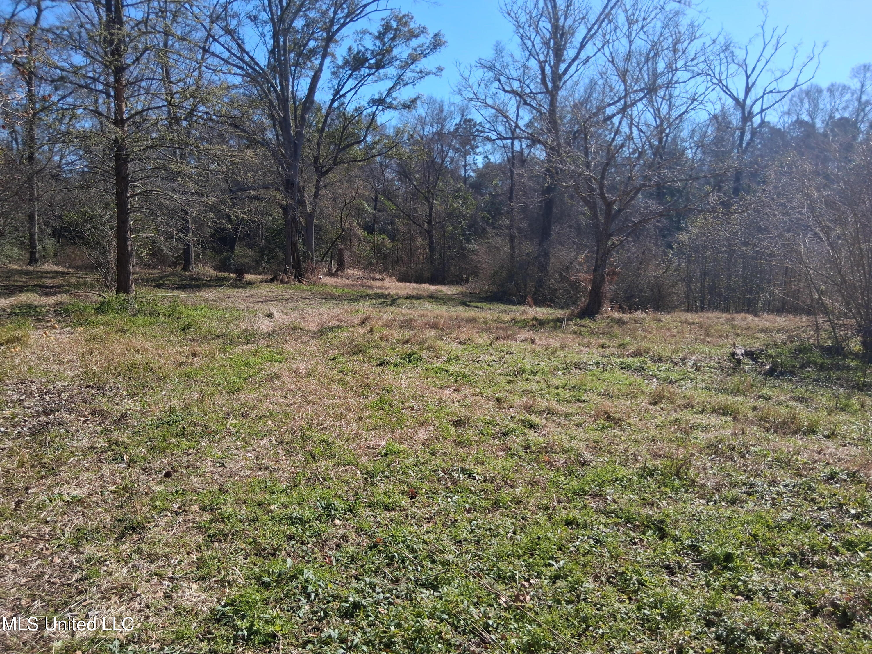 15208 Old River Road Vancleave, MS 39565 - Photo 24 of 24 20