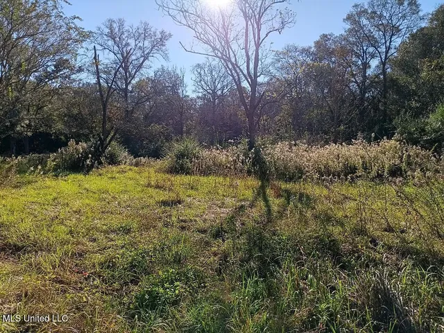 $57,500 | 15208 Old River Road, Vancleave, MS 39565