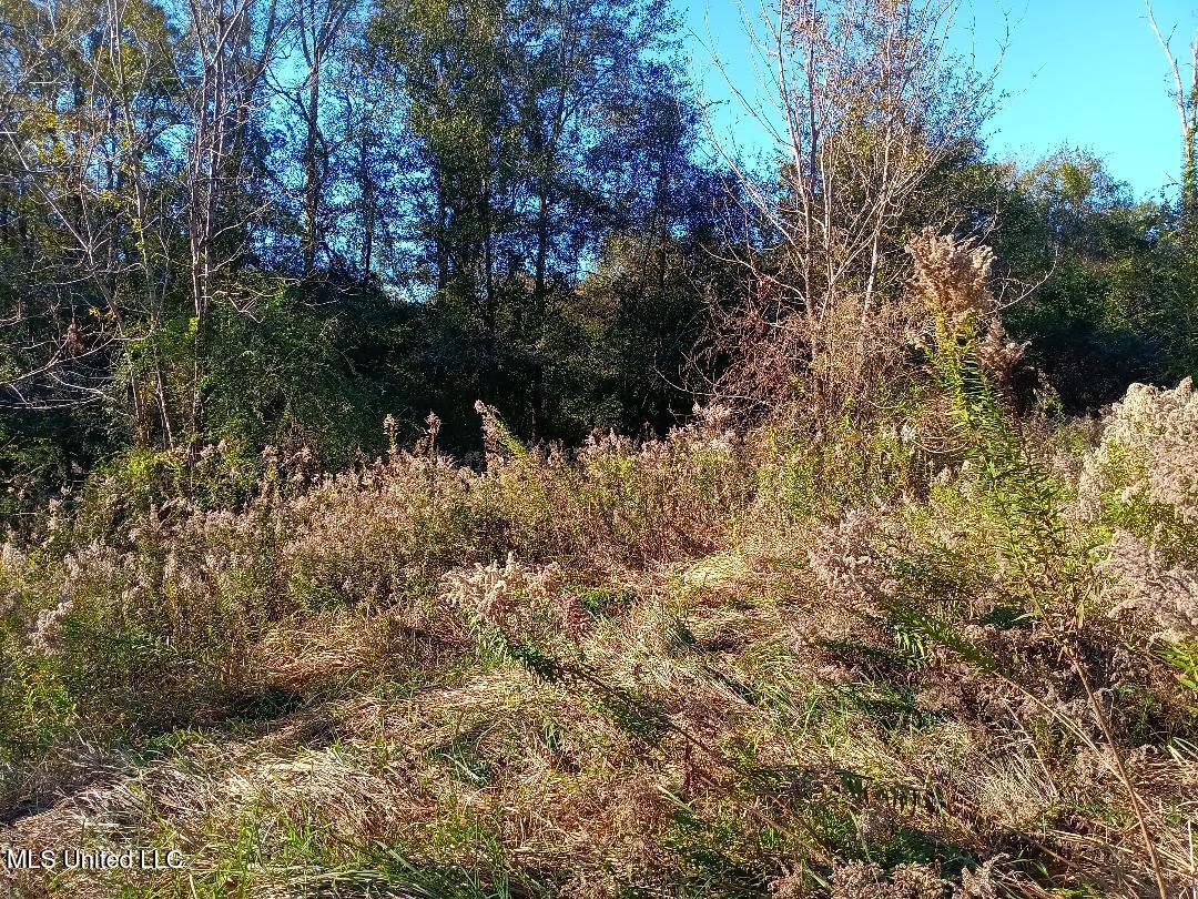 15208 Old River Road Vancleave, MS 39565 - Photo 9 of 17 8