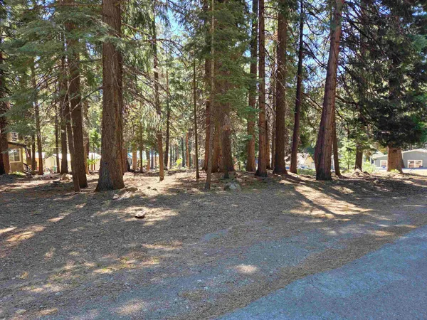 a view of road with trees