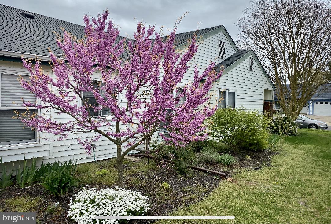 38 Windsor Road Southampton, NJ 08088 - Photo 4 of 30 Gallery Image 4