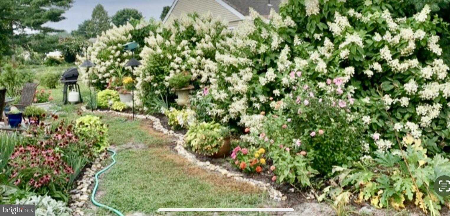 38 Windsor Road Southampton, NJ 08088 - Photo 5 of 30 Gallery Image 5