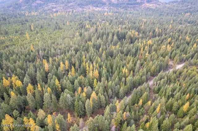 $275,000 | Lot 4 North Peak Road, Spirit Lake, ID 83869