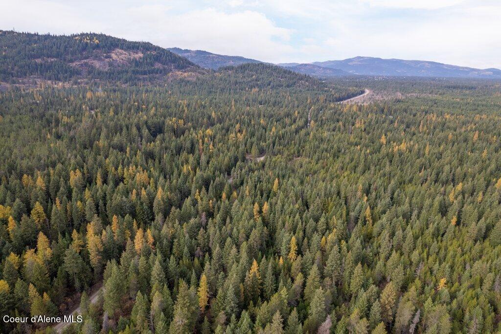 Lot 4 North Peak Road Spirit Lake, ID 83869 - Photo 10 of 21 010-NKAnextto27813NorthPeakRoad-SpiritLa