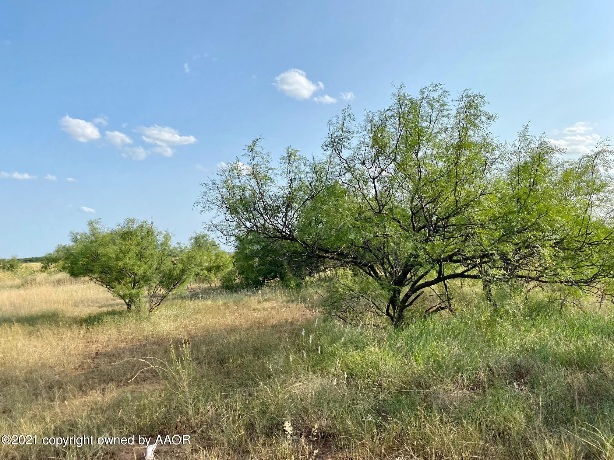 1458 Mitchell Road Quanah, TX 79252 - Photo 65 of 70 pasture
